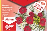 Netto Marken-Discount Zwischendeich - Herzensangelegenheit Angebot im Prospekt Herzensangelegenheit bei Netto Marken-Discount im Zwischendeich Prospekt für 9,99 €