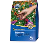 Blumenwiese-Mischung im Angebot bei OBI in Warendorf Blumenwiese-Mischung Angebote von Kiepenkerl bei OBI Warendorf für 9,99 €