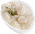Tiefsee-Scallops ohne Rogen im Angebot bei E center in Wiesbaden Tiefsee-Scallops ohne Rogen Angebote bei E center Wiesbaden für 6,99 €