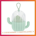 Promo Set eponge et boite cactus à 0,98 € dans le catalogue B&M à Olivet