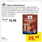 Dauerschutzlasur bei Carl Bremer GmbH & Co. KG im Oldenburg Prospekt für 16,99 €