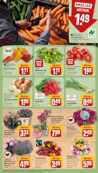 Blumen im REWE Prospekt "Dein Markt" mit 32 Seiten (Mannheim)
