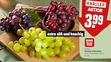 REWE Xanten Prospekt mit  im Angebot für 3,99 €