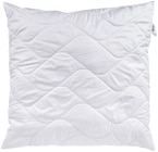 Kopfkissen Terrafill³ Angebote von f.a.n. bei REWE Braunschweig für 17,99 €