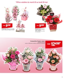 Prix et réduction Vase dans le prospectus Carrefour en cours Offre Vase dans le catalogue Carrefour du moment à la page 3