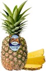 Aktuelles Ananas Angebot bei REWE in Stuttgart ab 1,99 €