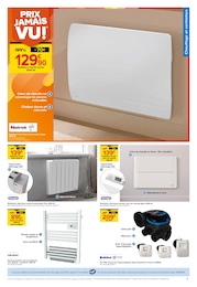 Offre Purificateur D'air dans le catalogue Castorama du moment à la page 3