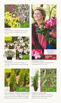 Rosmarin im Pflanzen Kölle Prospekt "BLÜHENDE OSTERZEIT" mit 14 Seiten (München)