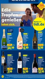 Pavillon im Lidl Prospekt in Frankenthal Aktueller Lidl Prospekt mit Pavillon, "LIDL LOHNT SICH", Seite 24