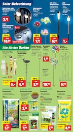 Rindenmulch Angebot im aktuellen Thomas Philipps Prospekt auf Seite 3