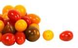Tomates cerises multicolores - Norma à Strasbourg Tomates cerises multicolores en promo chez Norma Strasbourg à 1,49 €