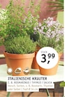 Aktuelles Italienische Kräuter Angebot bei ROSENGUT Langerwisch in Potsdam ab 3,99 €