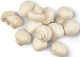 Weiße Champignons Angebote bei combi Paderborn für 1,79 €