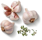 Kaufland Torgau - dtsch. Knoblauch, frisch Angebot im Prospekt dtsch. Knoblauch, frisch bei Kaufland im Torgau Prospekt für 1,29 €