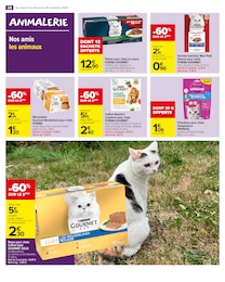 Prix et réduction Chat dans le prospectus Carrefour Market en cours Offre Chat dans le catalogue Carrefour Market du moment à la page 28