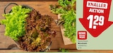 Aktuelles Wurzelsalat Salattrio Angebot bei REWE in Mannheim ab 1,29 €