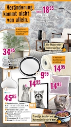 Hornbach Kunstpflanzen im Prospekt 