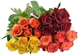 Aktuelle Pflanzen Angebote bei REWE in Chemnitz Aktuelles Premium-Rosen Angebot bei REWE in Chemnitz ab 3,99 €
