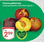 GLOBUS Tönisvorst - Pfirsiche gelbfleischig Angebot im Prospekt Pfirsiche gelbfleischig bei GLOBUS im Tönisvorst Prospekt für 2,99 €
