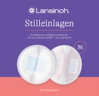 -20 % Rabatt von Lansinoh im aktuellen budni Prospekt