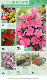Promos Fleurs dans le catalogue "JARDIN, LÀ OÙ LA VIE SE CULTIVE" de Carrefour Fleurs en promo dans le catalogue Carrefour à la page 4