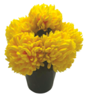 Pot de chrysanthèmes ananas en promo chez Bazarland Avignon à 6,99 €