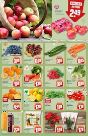 Aktueller REWE Prospekt mit Garten, "Dein Markt", Seite 10