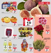 Saft im Marktkauf Prospekt in Bietigheim-Bissingen Aktueller Marktkauf Prospekt mit Saft, "Aktuelle Angebote", Seite 5