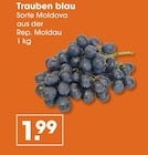 Trauben blau bei V-Markt im Apfeltrach Prospekt für 1,99 €