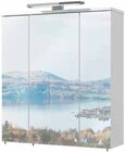Aktuelles Spiegelschrank Gela Angebot bei Zurbrüggen in Bielefeld ab 89,00 €