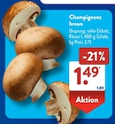 ALDI SÜD Backnang Prospekt mit  im Angebot für 1,49 €