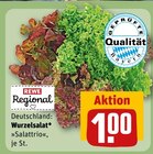 Aktuelles Wurzelsalat Salattrio Angebot bei REWE in Erlangen