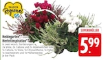 Heidegarten von  im aktuellen EDEKA Prospekt für 5,99 €