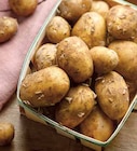 Intermarché Cléry-Saint-André - Promo Pomme de Terre Primeur Promo Pomme de Terre Primeur à 3,19 € dans le catalogue Intermarché à Cléry-Saint-André
