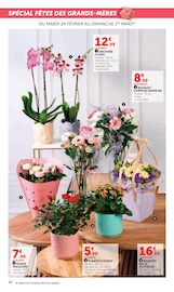 Jardinage Angebote im Prospekt "Super U" von Super U Jardinage Angebote im Prospekt "Super U" von Super U auf Seite 32