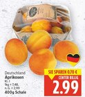 Aktuelle Obst Angebote bei E center in Berlin Aktuelles Aprikosen Angebot bei E center in Berlin ab 2,99 €