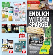 Aktueller Marktkauf Prospekt mit Katzenfutter, "Aktuelle Angebote", Seite 31