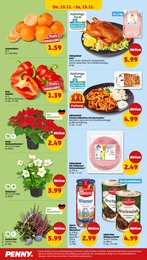 Penny Wild im Prospekt Penny Wild im Prospekt