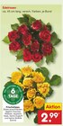 Edelrosen bei Netto Marken-Discount im Weyhausen Prospekt für 2,99 €