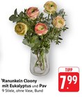 Ranunkeln Cloony mit Eukalyptus und Pav Angebote bei E center Lahr für 7,99 €