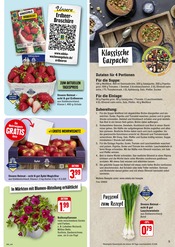 Aktueller EDEKA Prospekt mit Erdbeeren, "Aktuelle Angebote", Seite 5