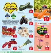 Aktueller Marktkauf Prospekt mit Orchidee, "Aktuelle Angebote", Seite 5