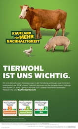 Fleisch im Kaufland Prospekt KNÜLLER auf S. 7