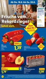 Erdbeeren im Lidl Prospekt in Albstadt Aktueller Lidl Prospekt mit Erdbeeren, "LIDL LOHNT SICH", Seite 58