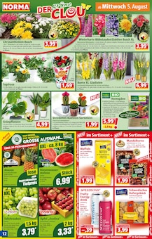 Radeberger Angebot im Norma Prospekt, gültig von 03.08.2026 bis 08.08.2026 Radeberger Angebot im aktuellen Norma Prospekt auf Seite 12