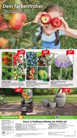 Aktueller Raiffeisenmarkt Prospekt mit Blumentopf, "Der Frühling ruft! Mach dich Bereit.", Seite 8