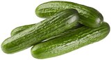 Mini Gurken im aktuellen REWE Prospekt für 4,44 €
