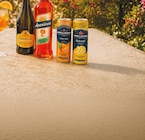 Naturali Limonata von San Pellegrino für 0,89 € bei Netto mit dem Scottie im Angebot Naturali Limonata von San Pellegrino im aktuellen Netto mit dem Scottie Prospekt