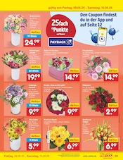 Tulpen im Netto Marken-Discount Prospekt in Königswinter Aktueller Netto Marken-Discount Prospekt mit Tulpen, "Aktuelle Angebote", Seite 55
