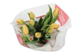 Tulpen im Angebot bei EDEKA in Buchholz Tulpen Angebote bei EDEKA Buchholz für 2,59 €